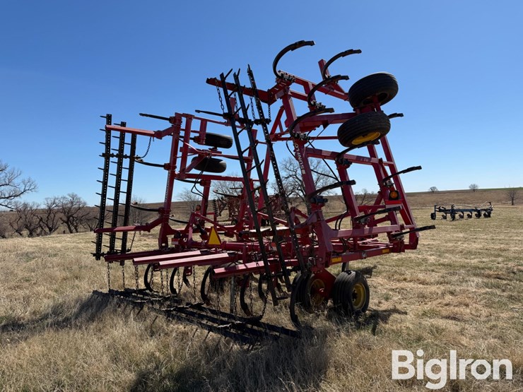 sunflower-2433-31-image-7