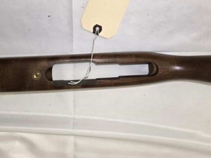 ruger-10-22-stock-image-3