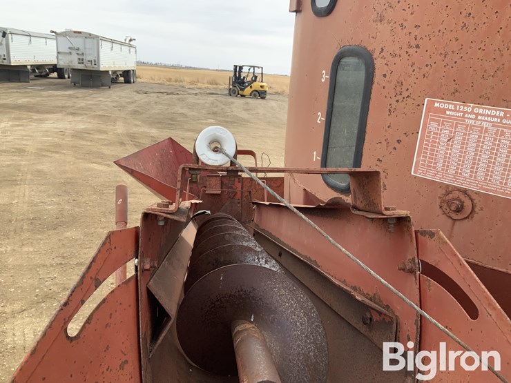 international-1250-image-10