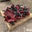case-ih-1230-image-7