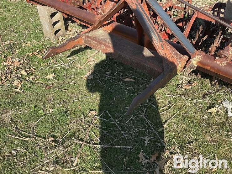 international-3-image-16