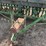 john-deere-grain-drill-image-5