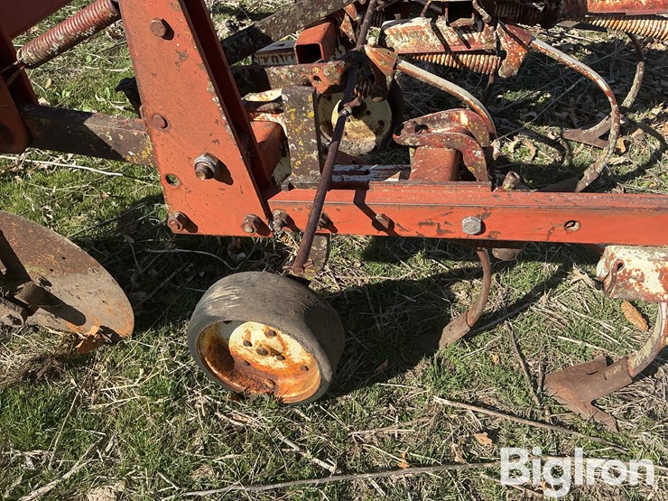 international-153-image-10