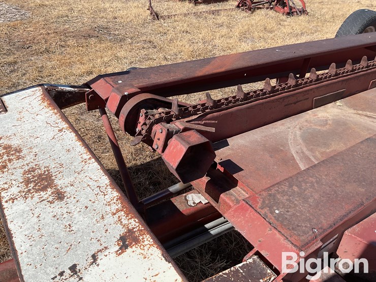 international-50-image-16