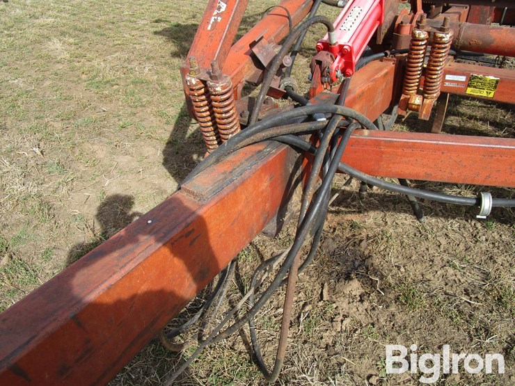 international-55-image-10