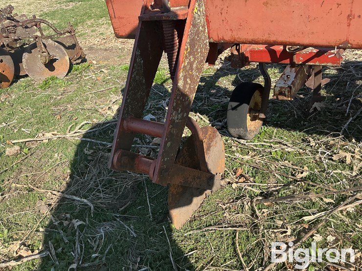 international-153-image-19