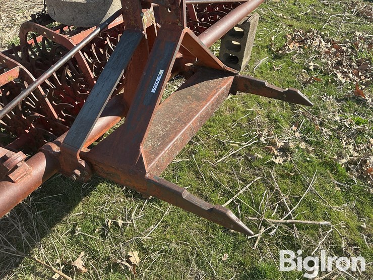 international-3-image-18