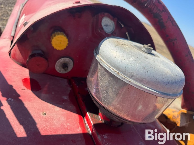 international-560-image-10