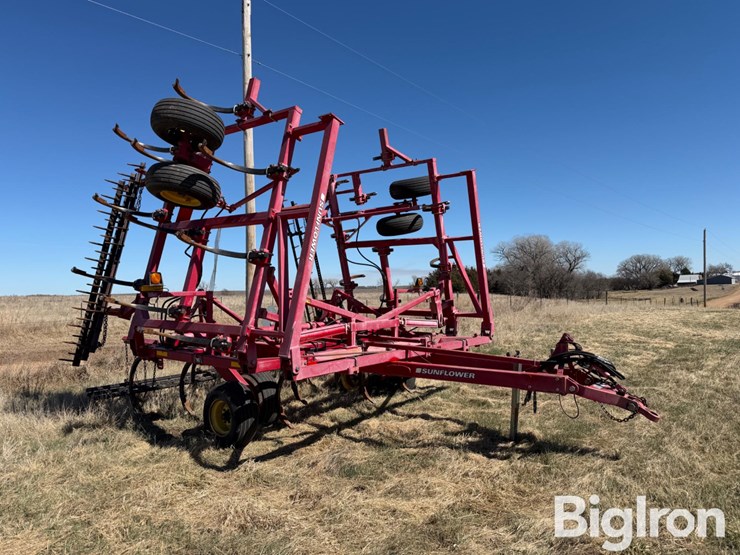 sunflower-2433-31-image-1