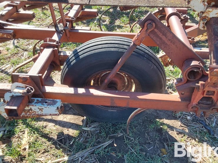 international-45-image-19