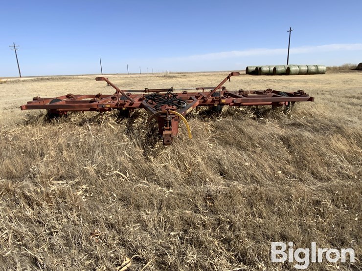 sunflower-2330-image-2