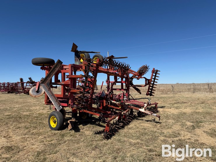 sunflower-3371-33-image-8