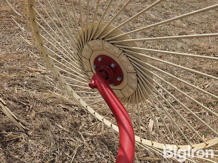 2020-enorossi-rp5-image-11