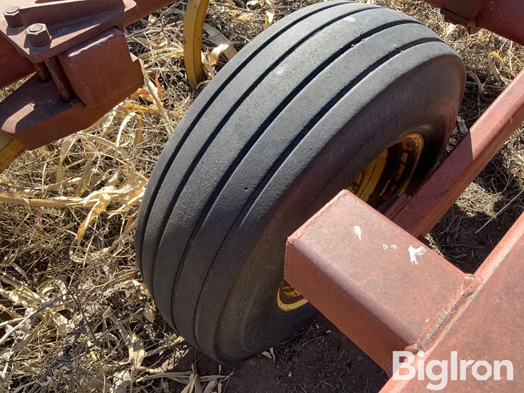 sunflower-2330-image-20