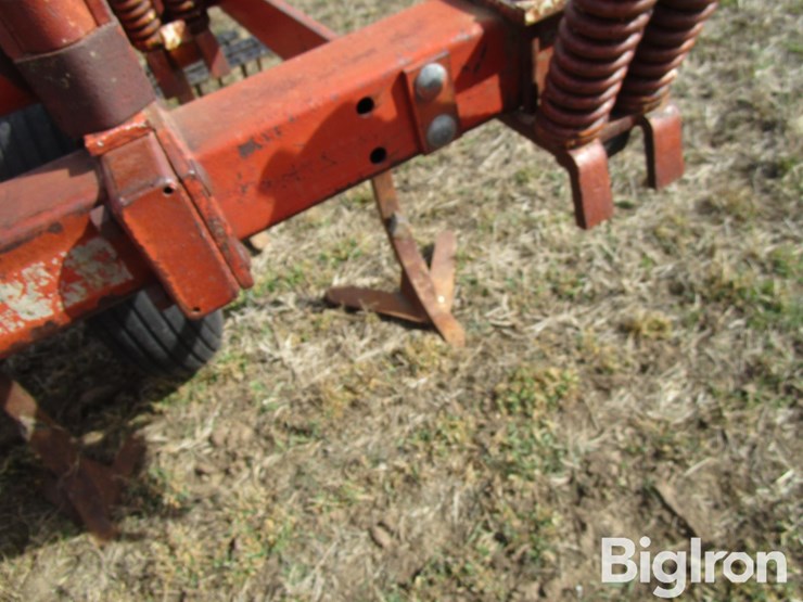 international-55-image-15