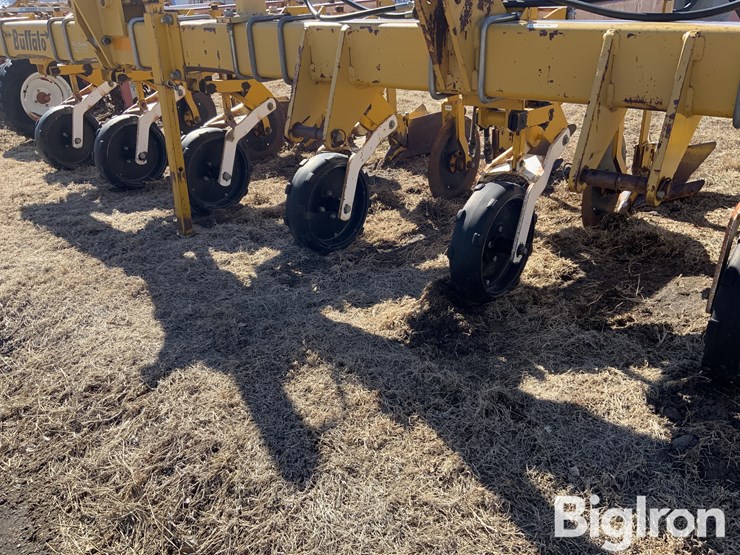 buffalo-63000830-image-10