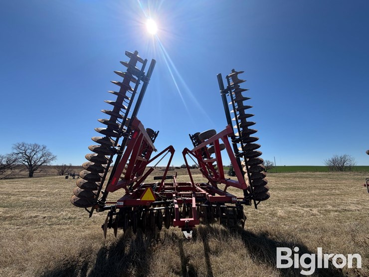 sunflower-1434-36-image-6