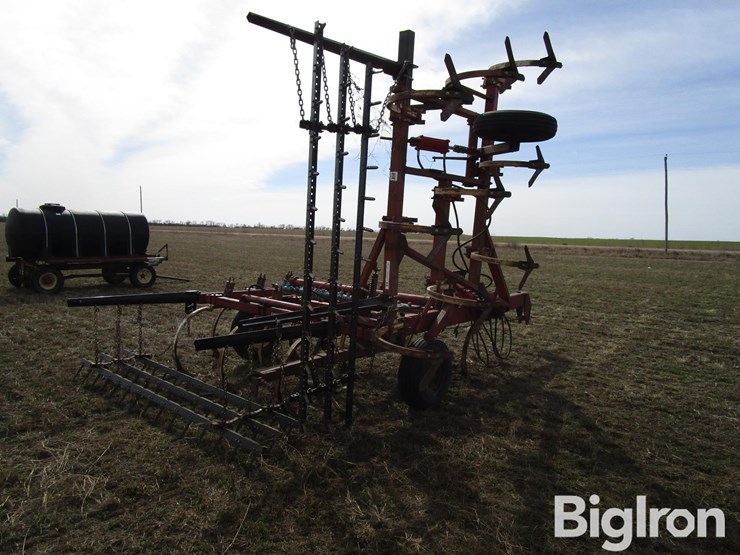 international-55-image-5