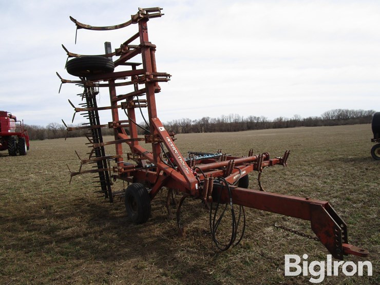 international-55-image-3