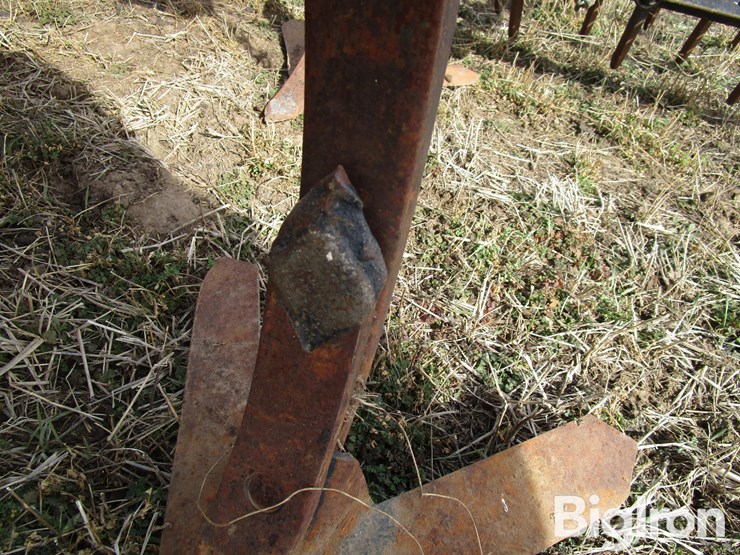 international-55-image-18