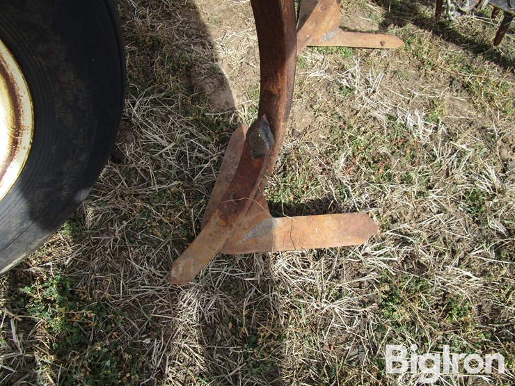 international-55-image-17