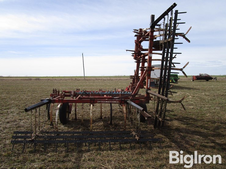 international-55-image-6