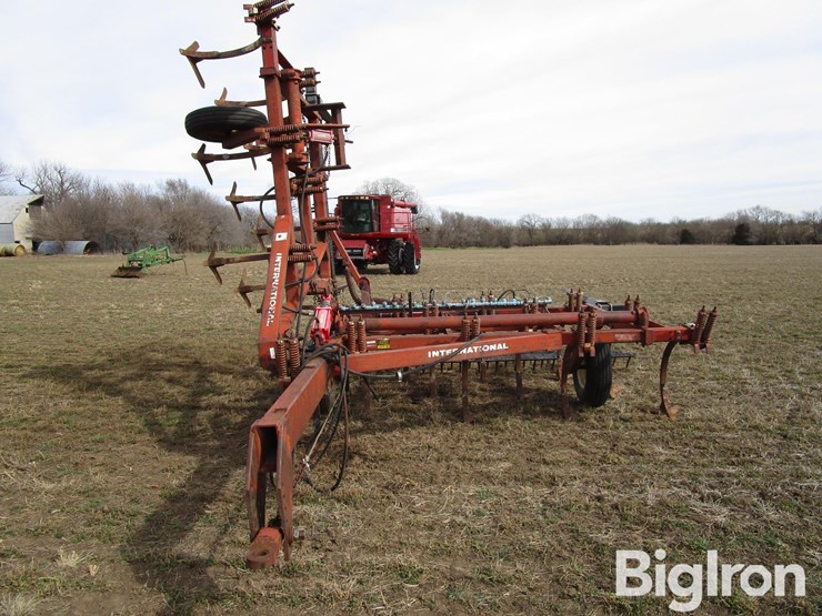 international-55-image-2