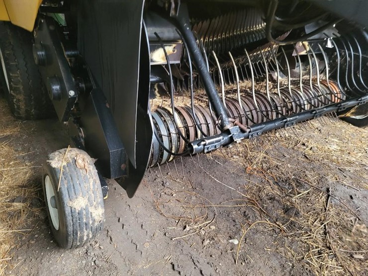 vermeer-3347-image-38