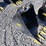 #319-•-trojan-excavator-bucket-image-3