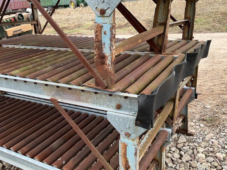 #138-•-skate-rolls-image-5