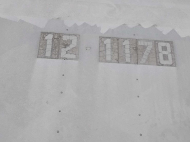 1994-great-dane-van-image-11