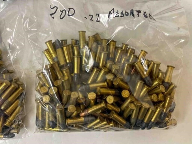 .22-lr-ammo-image-4