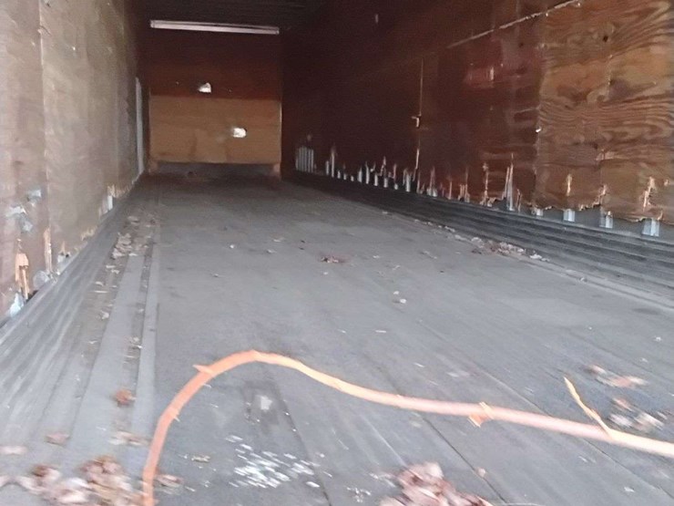 1999-great-dane-van-image-20