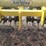aerway-manure-applicator---field-ready-image-21
