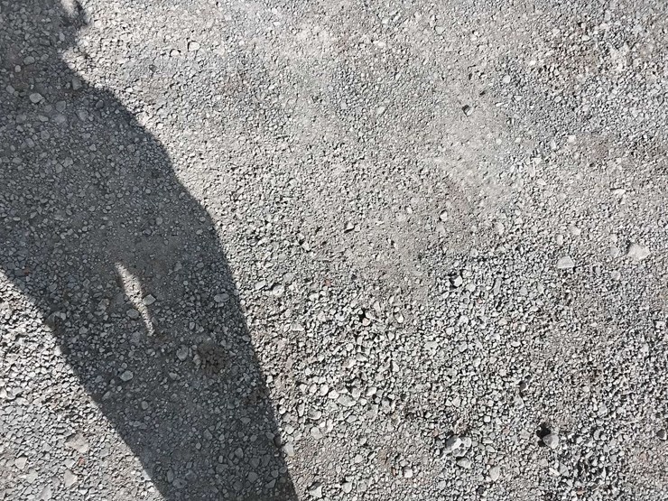 2019-freightliner-cascadia-126-image-18