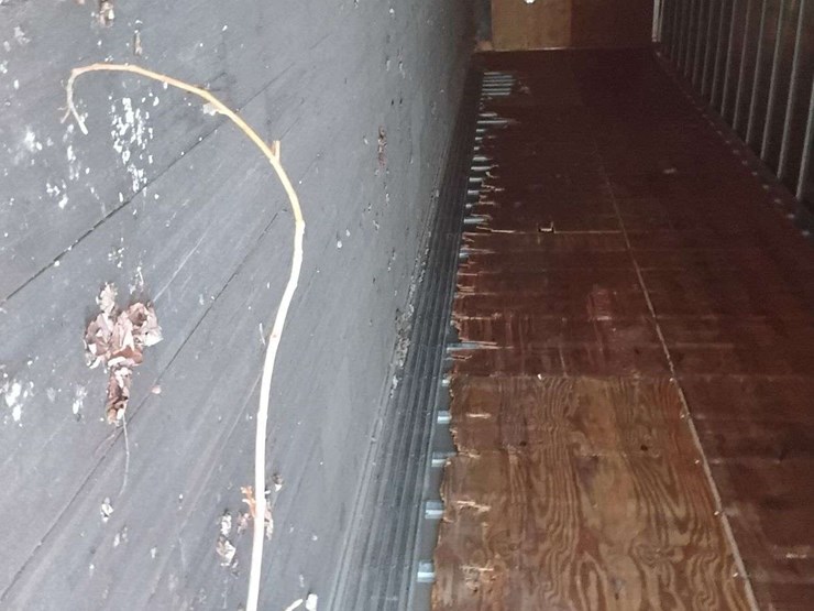 1999-great-dane-van-image-10