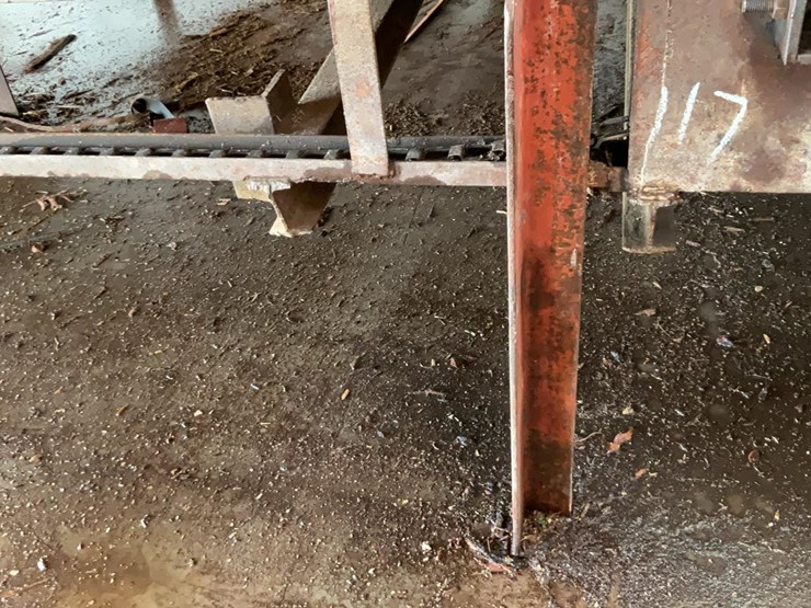 #117-•-3-strand-green-chain-image-6