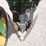 john-deere-7200-image-35