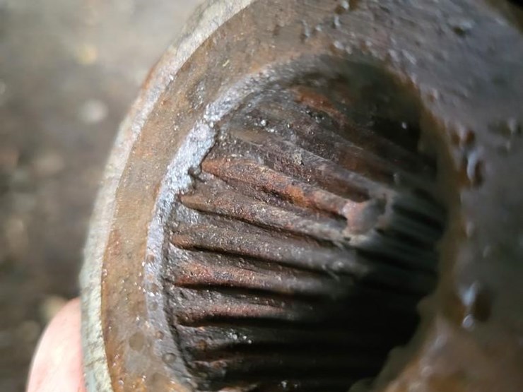 vermeer-3347-image-39