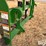 john-deere-6175r-image-8