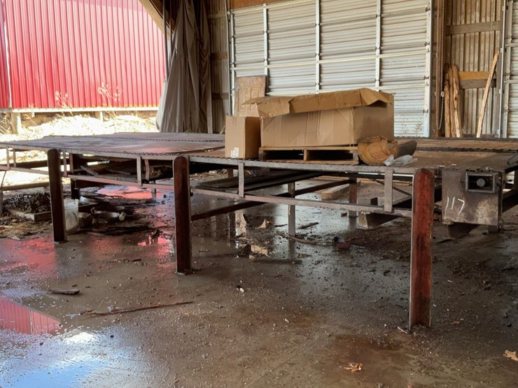 #117-•-3-strand-green-chain-image-4