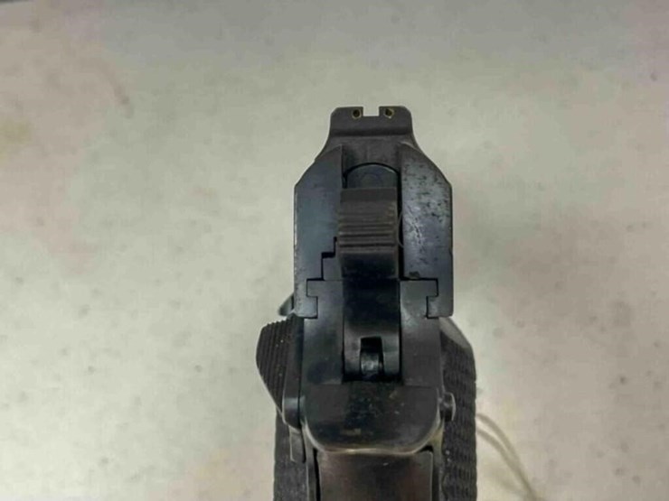 llama-pistol-image-9