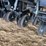 #40294-•-great-plains-2520-25'-grain-drill-image-106