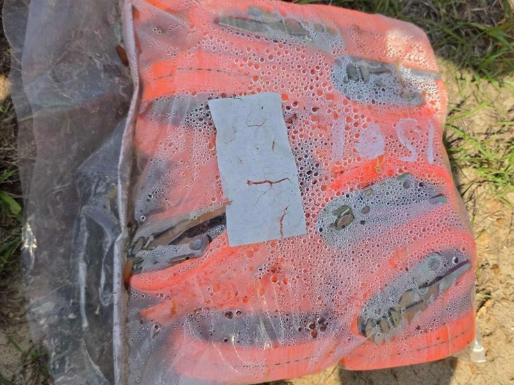 --absolute---new-(20)-ratchet-straps-image-1