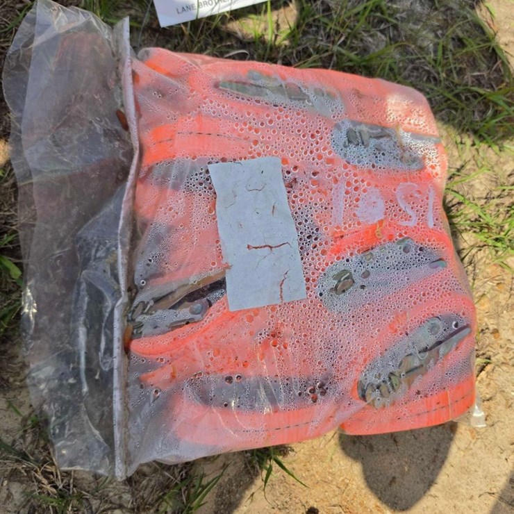 - ABSOLUTE - NEW (20) RATCHET STRAPS