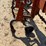 #40331-•-8-row-38"-cultivator-image-21