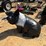 5272---absolute---metal-hog-statue-image-2
