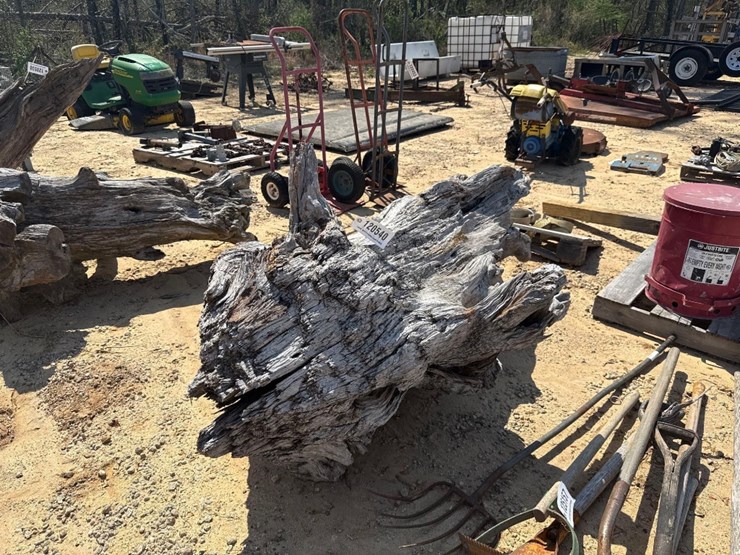 5237---fat-lighter-stump-image-2