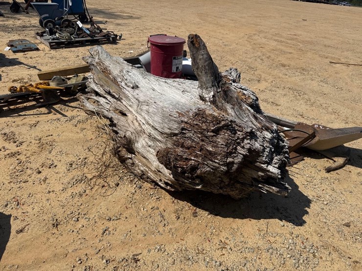 5237---fat-lighter-stump-image-1