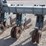 #1070-•-hinniker-12-row-corn-cultivator-image-11
